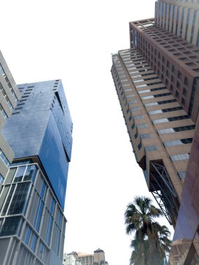 Cape Town gökdelenleri beyaz gökyüzünde izole edildi. Yüksek katlı ofis binaları görüş altında. Güney Afrika