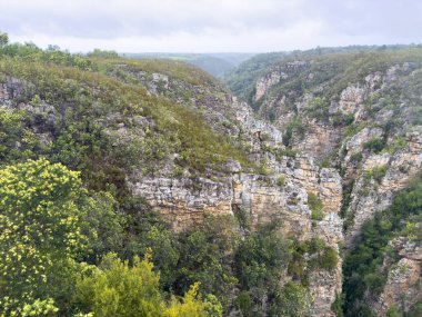 Bloukrans Köprüsü yakınlarındaki Rocky arazisi, Bloukrans nehir vadisi, Güney Afrika Bahçe Yolu.