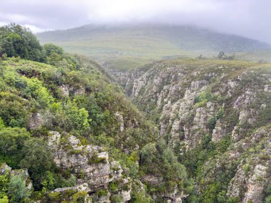 Bloukrans Köprüsü yakınlarındaki Rocky arazisi, Bloukrans nehir vadisi, Güney Afrika Bahçe Yolu.
