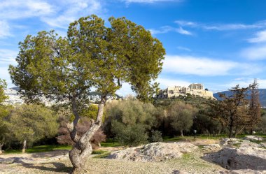 Atina, Yunanistan. Parthenon, Akropolis tepesi manzarası Areopagus tepesinden, bulutlu mavi gökyüzü