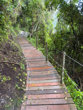 Wood path at Tsitsikamma national park, South Africa. Empty wooden walkway, between lush green forest trees clipart