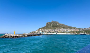 Güney Afrika, Hout Bay limanı, Cape Town 'un sahil banliyösü, güneşli gün, açık mavi gökyüzü.