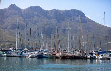 Güney Afrika, Hout Bay limanı, limana demirlemiş tekneler. Açık mavi gökyüzü, güneşli gün