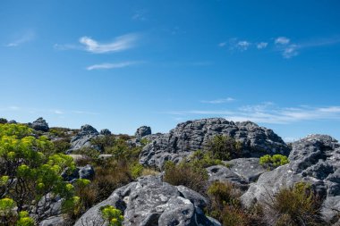 Düşük vejitasyon ve mavi gökyüzü ile Rocky manzarası. Table Mountain Kablo İstasyonu, Güney Afrika. Cape Town