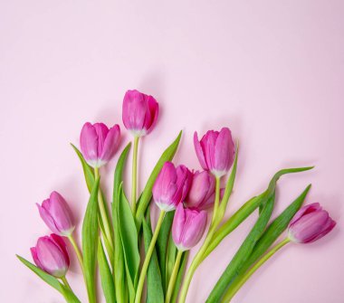 Lale çiçeği demeti pembe, taze çiçek buketine izole edilmiş. Anneler günü hediyesi. Bahar, kadınlar günü