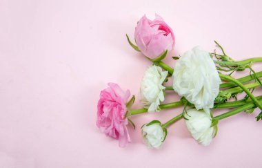 Pastel renginde taze düğün çiçeği buketi. Anneler günü hediyesi. Bahar, kadınlar günü