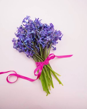 Pembe, taze, mor çiçekli sümbül çiçeği demeti. Anneler günü hediyesi. Bahar, kadınlar günü