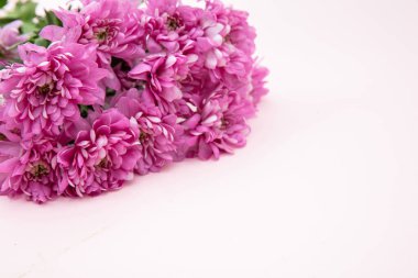 Pembede Dahlia çiçek buketi. Taze çiçekler. Yakından bak.