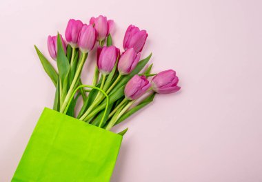 Lale çiçeği demeti pembe, taze çiçek buketine izole edilmiş. Anneler günü hediyesi. Bahar, kadınlar günü