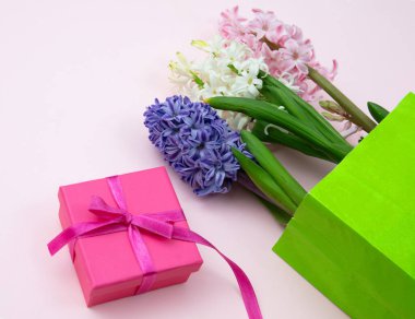 Anneler günü hediyesi. Taze sümbüller, bahar çiçekleri ve pembe arka planda bir hediye kutusu.