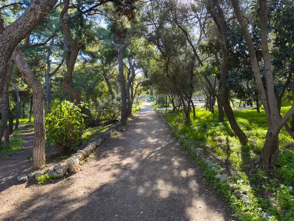 Atina, Yunanistan. Philopappos tepesindeki patika, patika ve ağaçlar, güneşli bahar günü