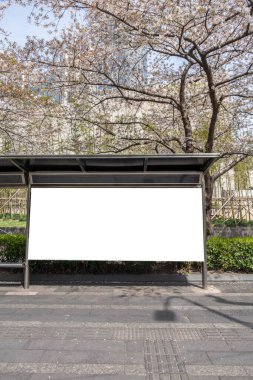Otobüs durağı çerçevesinde boş pano görüntüsü, bilgi ve reklam için boş pano şablonu. Kiraz çiçekleri, İlkbahar