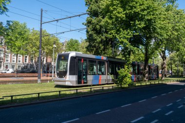 Rotterdam 'da tramvay, şehirde toplu taşıma, Hollanda' da güneşli bir gün.