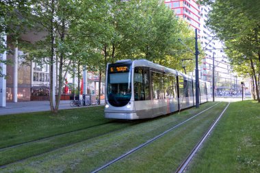 Rotterdam 'da tramvay, şehirde toplu taşıma, Hollanda' da güneşli bir gün.