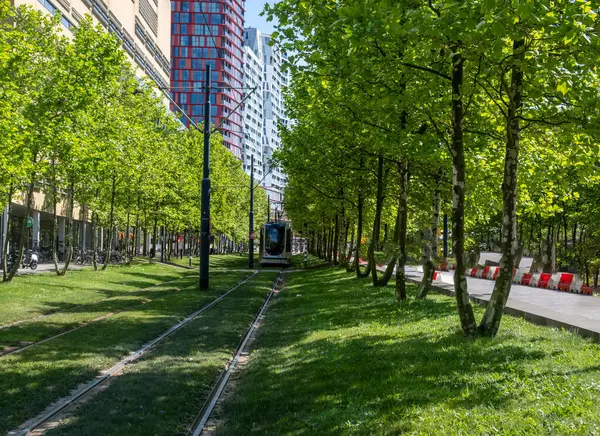 Rotterdam 'da tramvay, şehirde toplu taşıma, Hollanda' da güneşli bir gün.