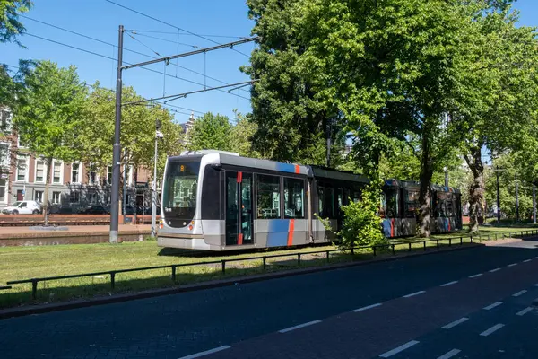 Rotterdam 'da tramvay, şehirde toplu taşıma, Hollanda' da güneşli bir gün.
