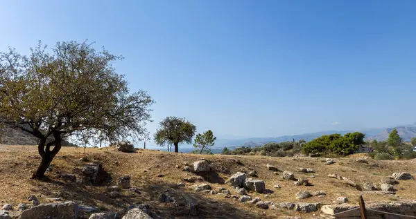 Yunanistan 'ın Mycenae kentindeki arkeolojik bölgede dağılmış taşlar ve seyrek ağaçlarla kaplı antik yamaç manzarası, uzak dağ manzaralı açık yaz güneşi altında.