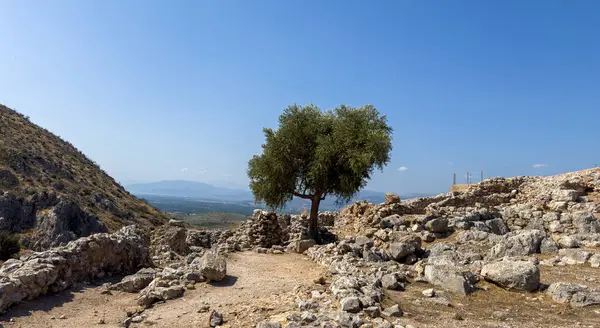 Antik taş kalıntıları ve Yunanistan 'daki Mycenae arkeoloji sahasında yalnız bir ağaç, güneşli bir yaz günü, açık mavi gökyüzü ve uzak dağ manzarası