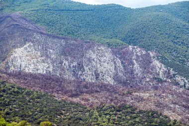 Etrafı yoğun yeşil tepelerle çevrili, açık kayalık kayalıklarla kaplı, yanmış bir dağ yamacının geniş bir görüntüsü, yıkım ve doğa arasındaki katı zıtlığı gösteriyor..