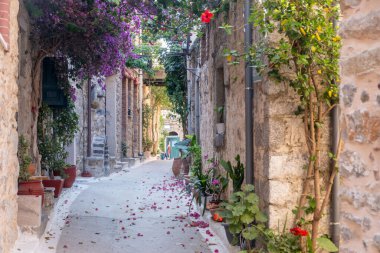 Olimpoi mastik köyü, ortaçağ yerleşkesi. Chios Adası, Yunanistan. Dar bir sokak, geleneksel mimari taş evler ve saksılar.