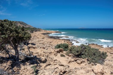 Gavdos Adası, Yunanistan. Tripiti Sahili. Kayalık sahile vuran deniz dalgaları, Ardıç Akdeniz çalısı ve diğer bitkiler, kurak bitki örtüsü, güneşli yaz günü