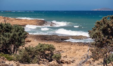 Gavdos Adası, Yunanistan. Tripiti Sahili. Kayalık sahile vuran deniz dalgaları, Ardıç Akdeniz çalısı ve diğer bitkiler, kurak bitki örtüsü, güneşli yaz günü