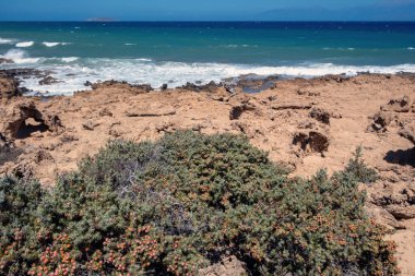 Gavdos Adası, Yunanistan. Tripiti Sahili. Kayalık sahile vuran deniz dalgaları, Ardıç Akdeniz çalısı ve diğer bitkiler, kurak bitki örtüsü, güneşli yaz günü