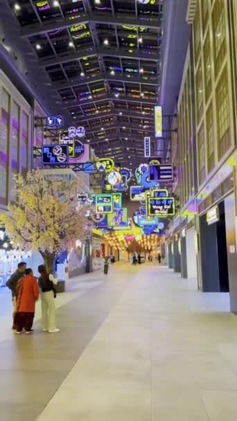 Charm Chinatown Dubai Mallopispoznaj Tętniący Życiem Dodatek Dubai Mall Chinatown — Wideo stockowe