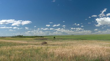 Mavi gökyüzünün altında beyaz bulutlu tarlalar.