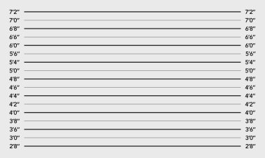 Polis sabıka kaydı. Sıralama duvarı 2,5 cm uzunluğunda. Polis şablonu. Vektör arkaplanı.