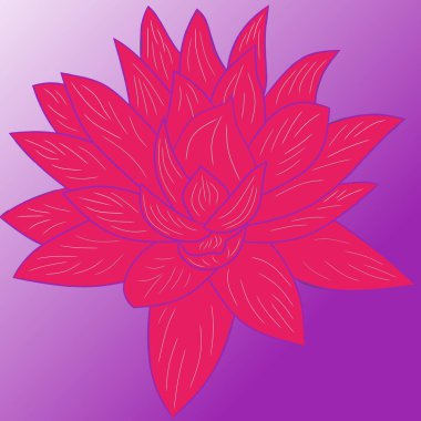 Çiçek açmış pembe bir nilüfer çiçeğinin çizimi