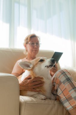 Evde rahat bir sabah ışığında tablet okuyan, pijama giyen, kanepede kahve ve Corgi ile oturan yaşlı bir kadın. Huzurlu emeklilik, teknoloji kullanımı, hayvan dostu yaşam tarzı, gerçek hayat sahnesi