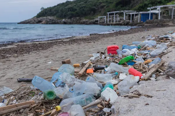 Plastik şişeler, kırık nesneler ve kumlu sahil şeridini kaplayan ahşap döküntüler. Okyanus kirliliği ve çevresel bozulma krizi.
