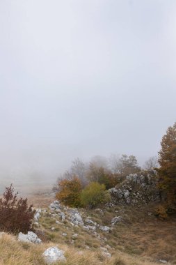 Ağaç dalları ile sisli tepe beyaz sisli gökyüzüne karşı siluet. Çıplak ağaçlar ve kayalar beyaz sislerin içinden çıkar. Sonbahar tonları ve yumuşak ışık gerçeküstü bir atmosfer yaratır..