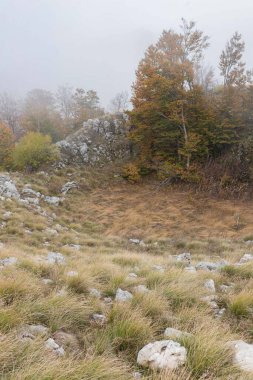Sis dolu dağlık yamaçlarda, etrafları taştan tepeler ve sonbahar ormanlarıyla çevrili. Kayalar ve renkli ağaçlarla çevrili kuru ormanlık alan sislerin ötesinde duruyor. Karamsar alp sakini ve engebeli arazi detaylarını yakalar.