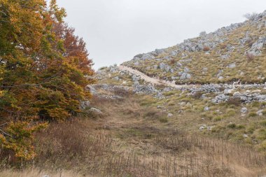 Çakıl taşı kaplı yürüyüş yolu kayalık yamaçlar ve düşen ağaçlar arasında yokuş yukarı gider. Taştan bankalar arasındaki dik yol sise doğru yükselir. Soldaki sonbahar renkleri kaya ve çimenlere canlı karşıtlık sağlar.