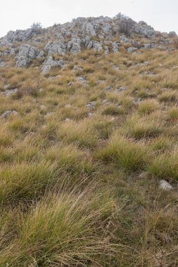Barren rocky hill covered with yellow wild grass and rough stone patches.Golden grass dominates steep hilltop with protruding stone formations. High elevation terrain emphasizes natural erosion and sparse vegetation.