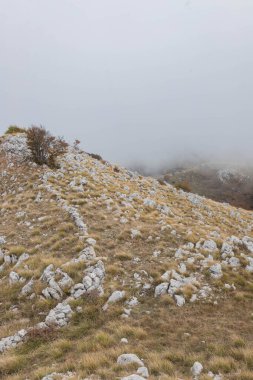 Mountain ridge with scattered rocks and mist-covered valley beyond.View from alpine slope showing fog blanketing valley below. Rocks and sparse grass create raw, untouched highland atmosphere.