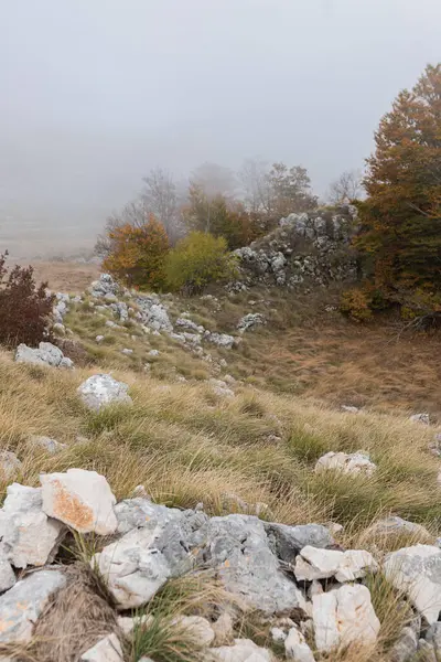 Sonbahar ormanı, keskin kayalar ve sarı çimlerle kaplı sisli dağ yamacı. Parlak sonbahar ağaçları engebeli tepenin üzerinden çıkar. Ön plandaki kayalar ve çimenler doğal doku ve yükseklik perspektifi sağlar.
