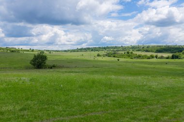 Dramatik gökyüzünün altında kümülüs bulutlarıyla dolu uzak tepeleri olan açık yeşil çayır. Geniş verimli yeşil alan alçak tepelere doğru uzanıyor. Dramatik kümülüs bulutları parlak gökyüzüne hakim, manzaralı kırsal zemin oluşturur.