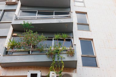 Çimento kutularında bereketli Akdeniz bitkileriyle dolu kentsel balkon. Çiçek açan pembe çiçekler ve yeşil tropikal bitkilerle dolu beton apartman balkonu. Modern Yunan şehrinin ön cephesinde tırmanan sarmaşıklar asılı..
