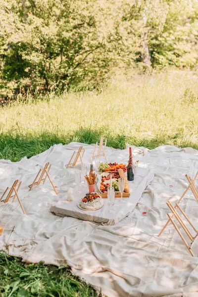 Açık hava piknik battaniyesi, boya sehpaları, palavra pastası ve taze mevsimlik meyveler. Tahta sehpalar, meyve tepsileri, köpüklü bardaklar, mumlar ve yaz aylarında sosyal boyama etkinliği için düzenlenen pasta manzarası geniş.