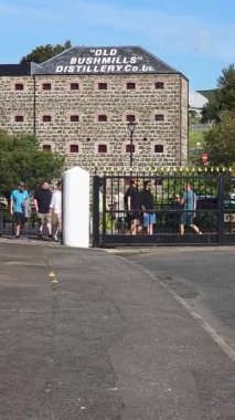 Bushmills, Kuzey İrlanda - 18 Ağustos 2025: İrlanda 'nın ünlü viski fabrikasının girişinden geçen bir grup ziyaretçi