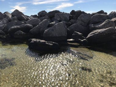 Baltık Denizi 'nin güzel manzarası