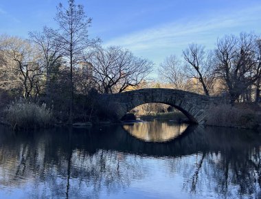 Şehir parkının güzel manzarası
