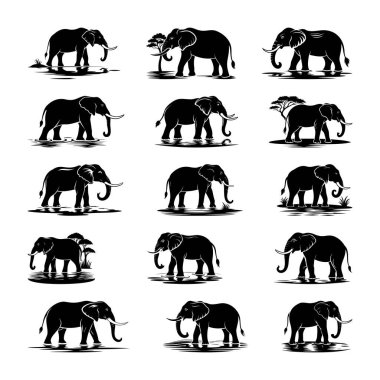 Fil Siluetleri Yüksek Kaliteli Doğa Koleksiyonu 003