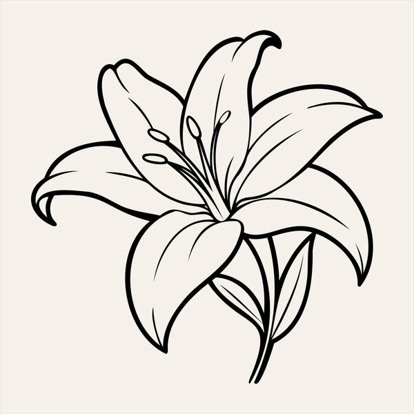 Детальная линейная иллюстрация лилии (Lilium). Перфект для цифрового искусства, дизайнерских проектов и печатных СМИ. Чистые и элегантные линии делают его идеальным для использования в декоративных элементах, ботанических исследованиях и художественных произведениях.
