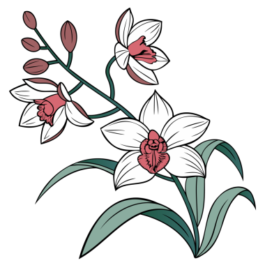 El çizimi orkide çiçek illüstrasyonu botanik dijital sanat eseri beyaz taç yaprakları ve pembe detaylı zarif çiçek tasarımı ve doğa için klasik botanik sanatı ilham verici dekor ve baskılar