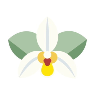 Orkide Çiçeği Minimum Vektör İllüstrasyonu Modern Botanik Çiçek Sanatı Yumuşak Pastel Renkleri Dekoratif Düz Sayısal Tasarım Yazıcı Arkaplanı ve Grafik Tasarımı