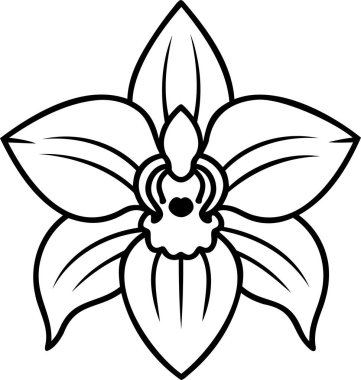 Bu siyah-beyaz çizgili sanat illüstrasyonunda güzel detaylı bir orkide çiçeği ve simetrik botanik tasarımı bulunur. Minimalist ve zarif estetik onu dövme tasarımları, boyama sayfaları, dekoratif çiçek desenleri ve botanik için ideal kılıyor.